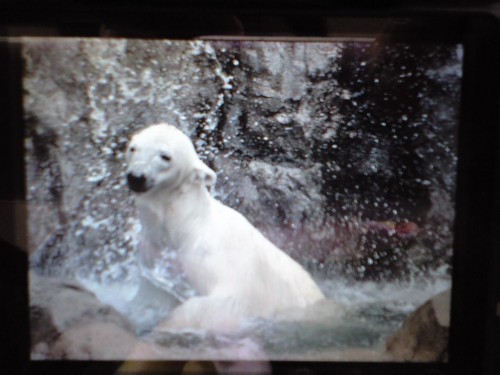 滝つぼの女・・・ピリカ編