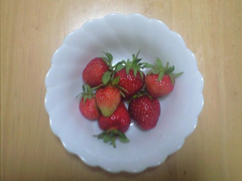我が家のイチゴ