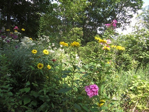 8月21日 滝上町 陽殖園