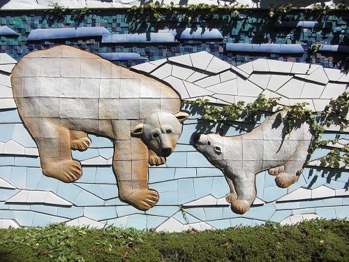 ９月２４日　東山動植物園　ホッキョクグマ