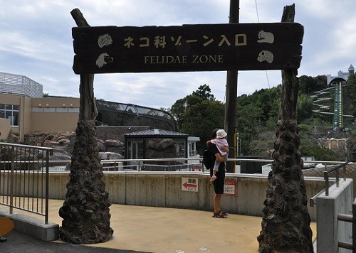 9月25日 日本平動物園 アムールトラ母子