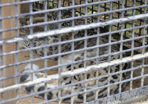 ９月２６日　浜松市動物園　中獣舎