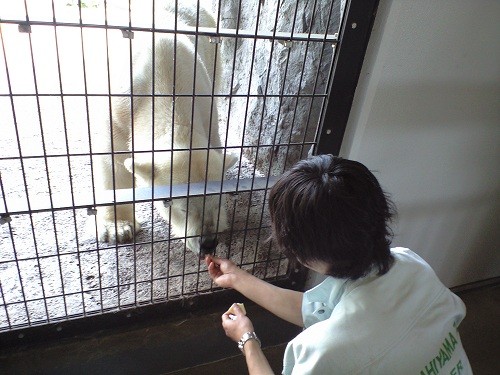 懐かしい写真シリーズ・・・2008年6月4日 チーズをもらうコユキ
