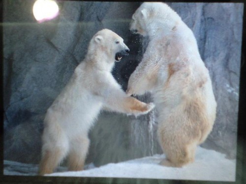 なんだか楽しそう