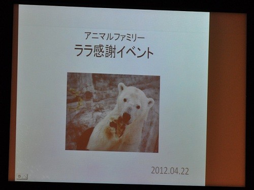 4月22日 円山動物園 アニマルファミリー ララ感謝イベント1
