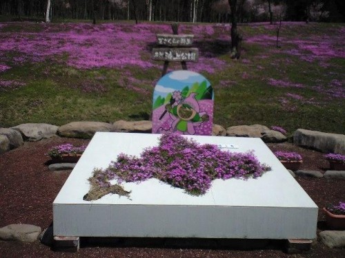 今日は滝上公園