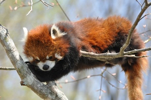 ５月２０日　釧路市動物園へ行ってきました。