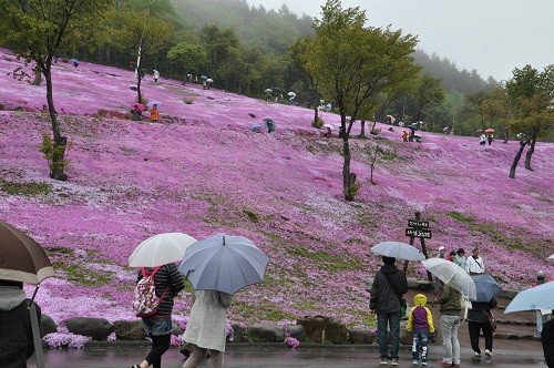 5月26日 滝上町 今日の滝上公園