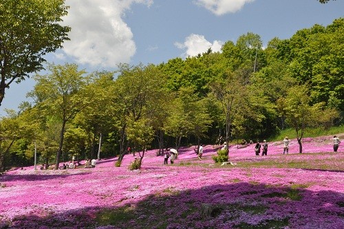 ６月３日　滝上町　今日の滝上公園