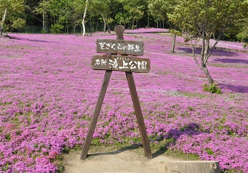 滝上公園の入園料が本日から無料になりました。