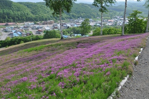 6月14日 滝上町 今日の滝上公園