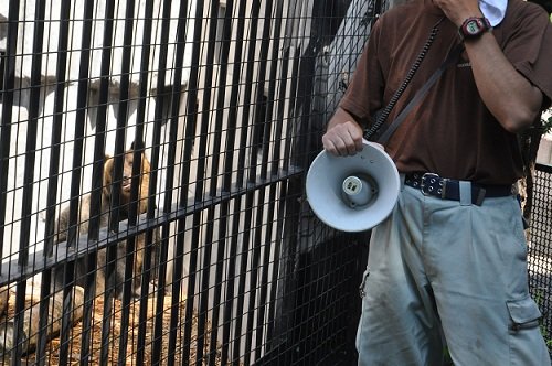 ９月４日　旭山動物園　エゾヒグマのもぐもぐタイム