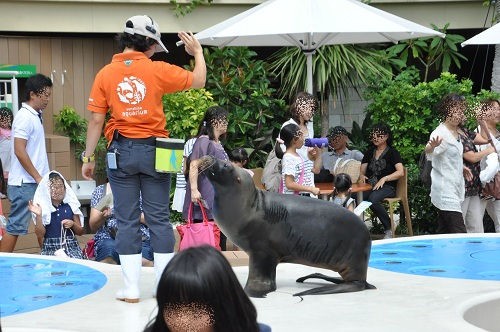 ９月１５日　東京観光最終日　サンシャイン水族館　屋上