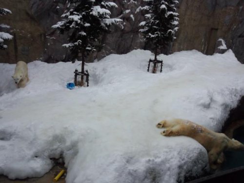 微妙な距離感の2頭