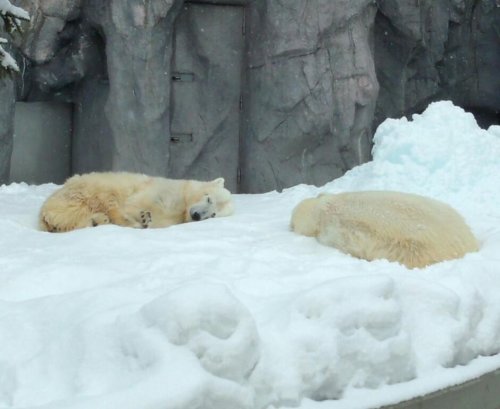 こちらも微妙な距離感?