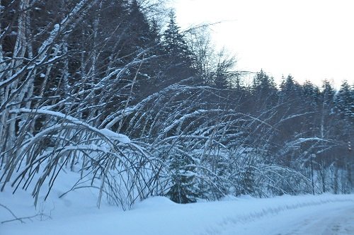 2月24日 帯広からの帰り道の風景