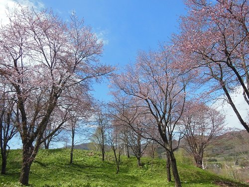 ５月２５日　滝上町　今日の濁川公園