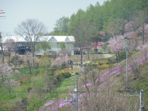５月２７日　滝上町　我が家から見た滝上公園