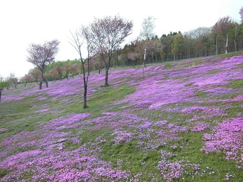 ５月２８日　滝上町　今日の滝上公園