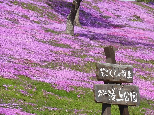 ５月３０日　滝上町　今日の滝上公園