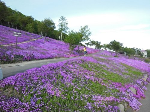 6月2日 滝上町 滝上公園にゆるキャラが大集合?