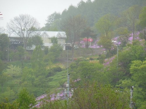 ６月３日　滝上町　今日の我が家から見た滝上公園東側斜面
