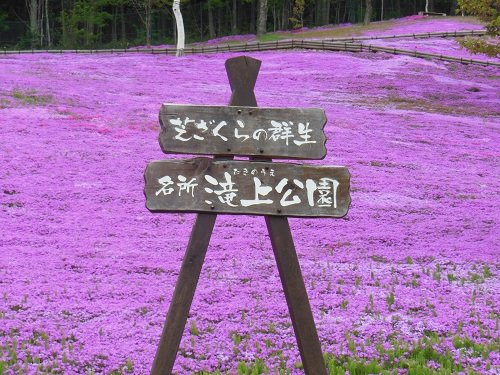 ６月４日　滝上町　今日の滝上公園
