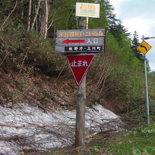 6月11日 上川町 今日の浮島湿原いこいの森入口