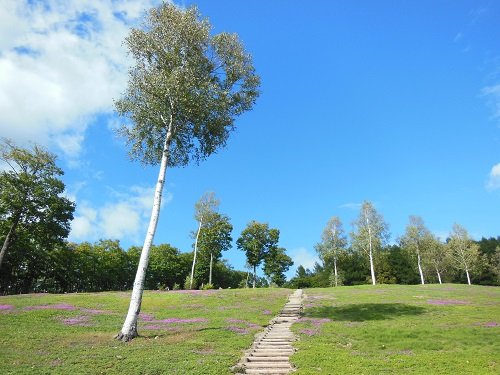 9月27日 滝上町 今日の滝上公園2013秋