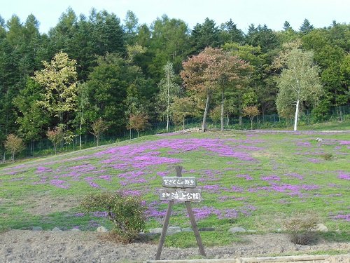 9月28日 滝上町 今日の滝上公園2013秋