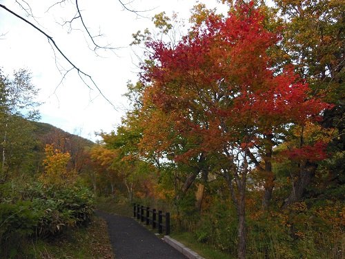 10月5日 滝上町 渚滑川渓谷遊歩道 今日の錦仙峡7