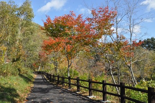 10月12日 滝上町 渓谷ウォーク 「秋!歩こう!錦仙峡」