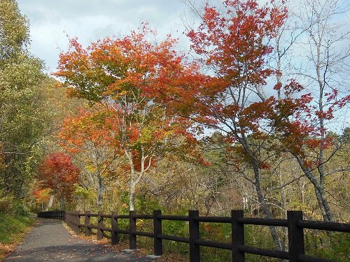 10月15日 滝上町 渚滑川渓谷遊歩道 今日の錦仙峡9