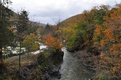 10月17日 滝上町 渚滑川渓谷遊歩道 今日の錦仙峡10