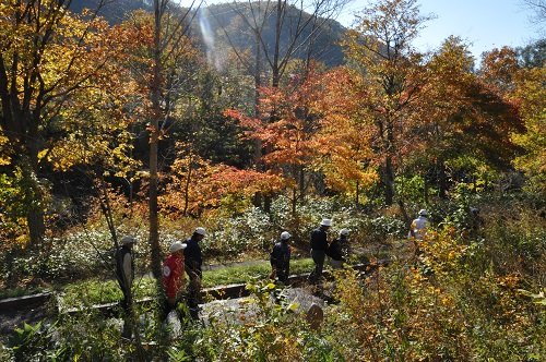 10月19日 滝上町 紅葉の渓谷錦仙峡ウォーク
