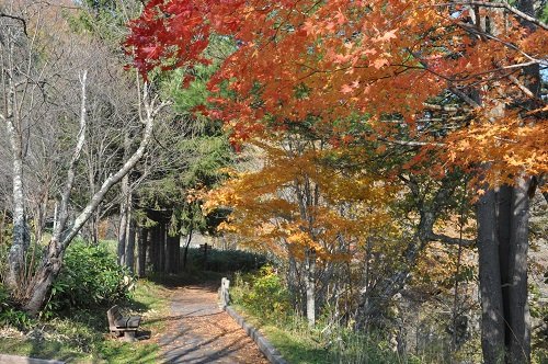 10月23日 滝上町 渚滑川渓谷遊歩道 今日の錦仙峡11