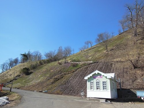 4月29日 滝上町 今日の芝ざくら滝上公園4