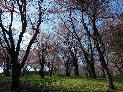 ５月１０日　滝上町　今日の濁川公園