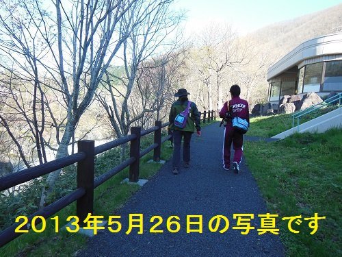明日5月18日から、「たきのうえ風 あさの散歩」始まります