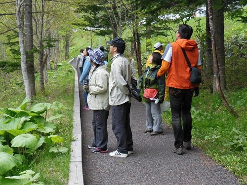 5月25日 滝上町 たきのうえ風あさの散歩