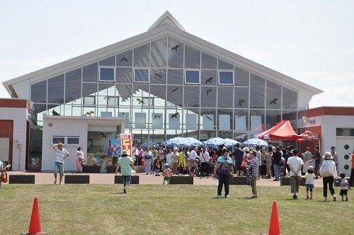 ７月２０日　流氷公園　ご当地キャラ大運動会　だるまさんが転んだとリレー