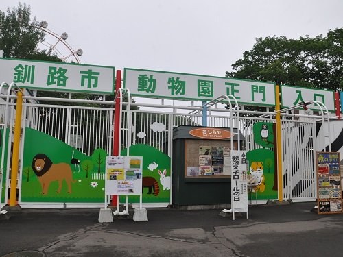 ７月２７日　釧路市動物園　お魚プレゼント・・・ミルク編