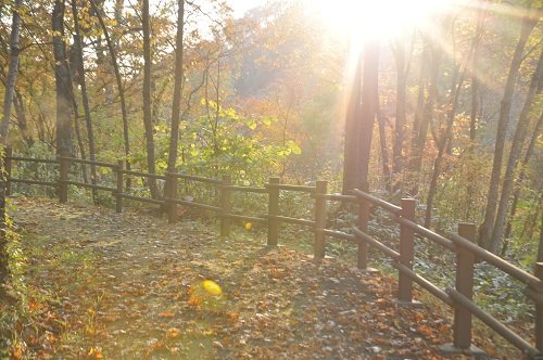 10月9日 滝上町 渚滑川渓谷遊歩道 今日の錦仙峡5・・・後半