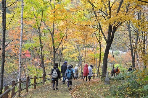 10月11日 滝上町 渓谷ウォーク 「秋!歩こう!錦仙峡」・・・その2