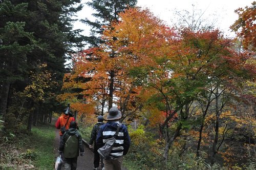 10月12日 滝上町 たきのうえ流 あさの散歩2014秋