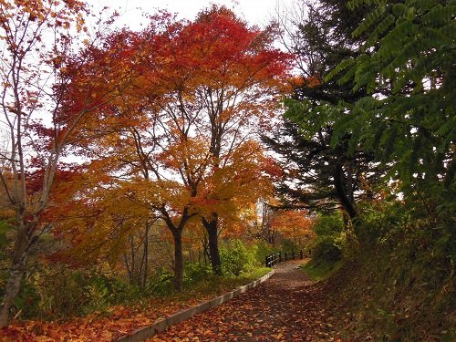 10月16日 滝上町 渚滑川渓谷遊歩道 今日の錦仙峡6