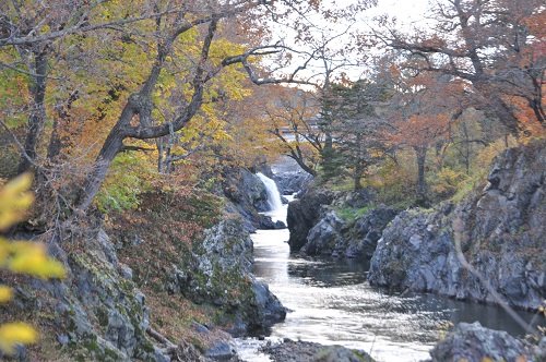 10月16日 滝上町 渚滑川渓谷遊歩道 今日の錦仙峡・・・番外編
