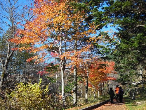 10月19日 滝上町 たきのうえ的あさの散歩2014秋・・・最終回