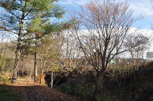 10月24日 滝上町 渚滑川渓谷遊歩道 今日の錦仙峡8・・・最終回