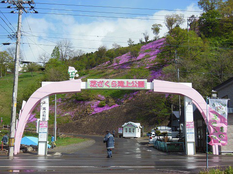 5月17日 滝上町 今日の芝ざくら滝上公園2015・・・16 朝編